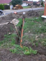 /album/the-best-of/a30-jpg6/