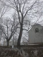 /album/the-best-of/a37-jpg5/